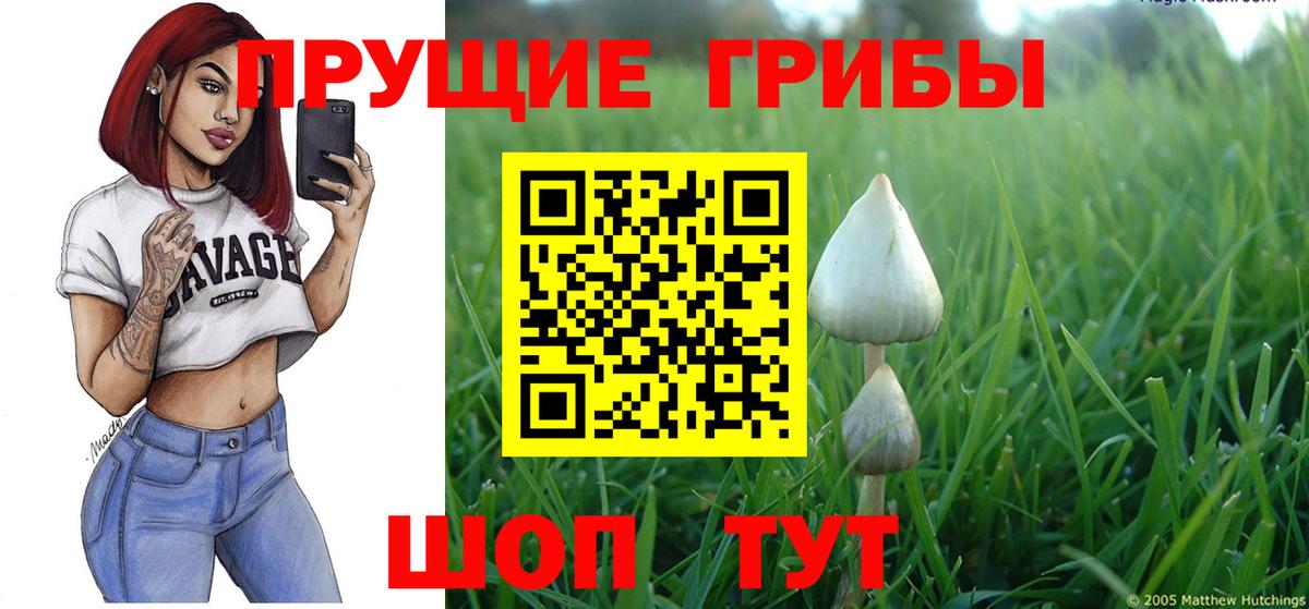 Галлюциногенные грибы ЛСД  Вход с VPN  Тулун  Псилоцибиновые грибы ЛСД 